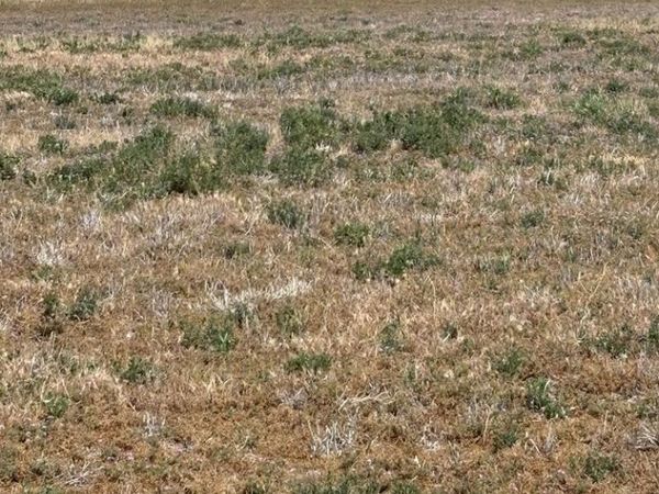 136 N 4139 E, RIGBY, ID 83442