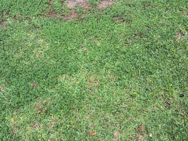 Weisenberger Road, Gluckstadt, MS 39110