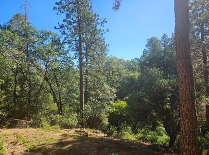 2531 Morrene Dr, Placerville, CA 95667 Photo