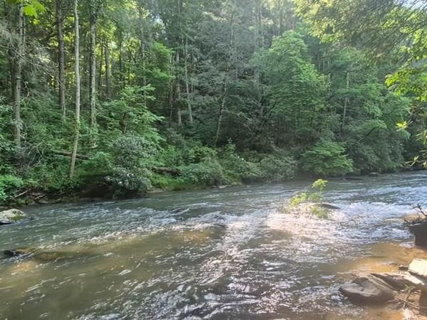 Lot 4 Roaring Forks Lane, Ellijay, GA 30540