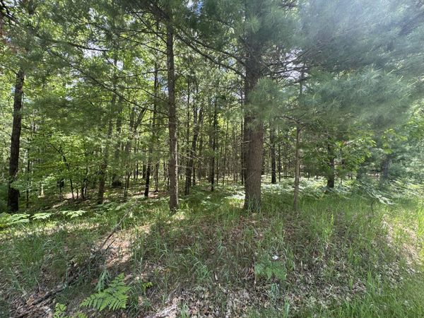 2830 W Pierce Drive, Brohman, MI 49312