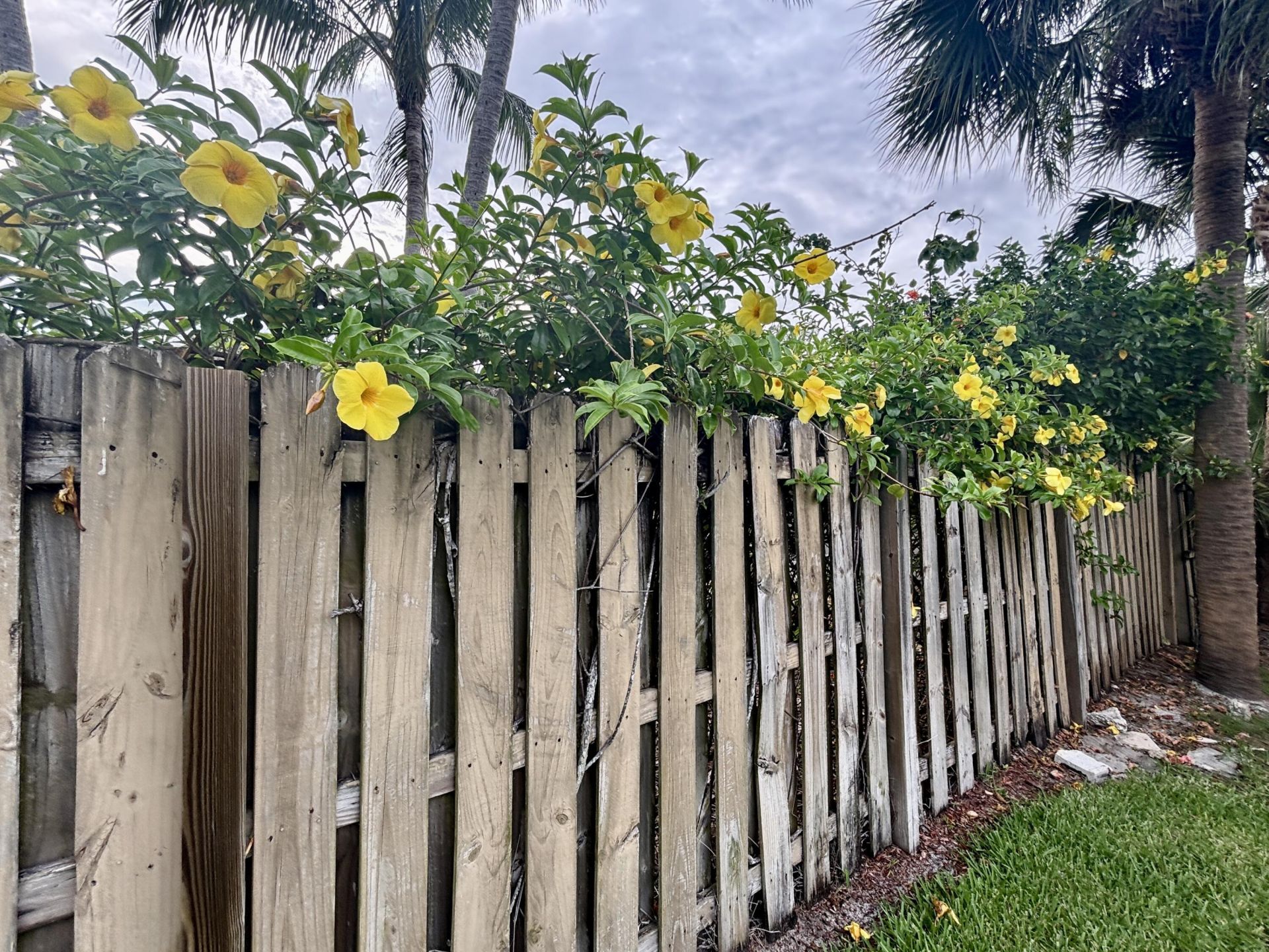 218 Seville Road, West Palm Beach, FL 33405 Photo
