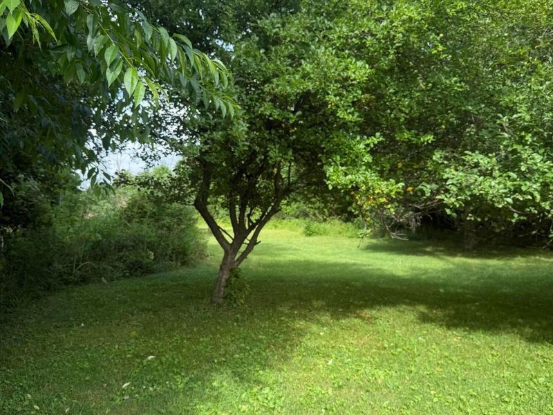 450 E Brown Street, New Lexington, OH 43764 Photo 15