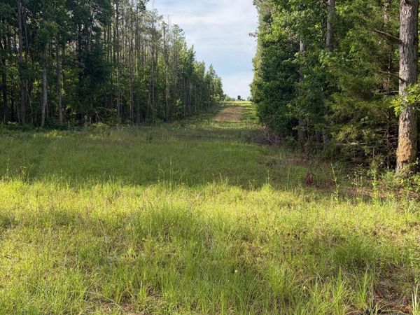 County Road 159, Coila, MS 38923