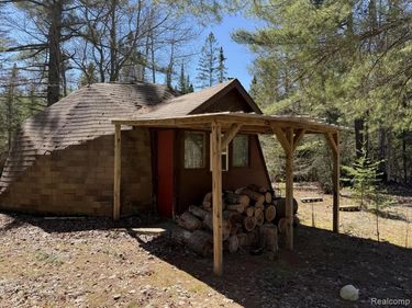 9718 W Black River Road , Hudson Twp, MI 49762