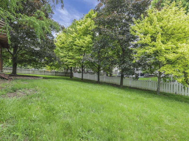 3216 Reed Point Court, Hilliard, OH 43026 Photo 49