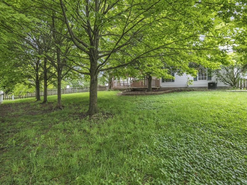 3216 Reed Point Court, Hilliard, OH 43026 Photo 51
