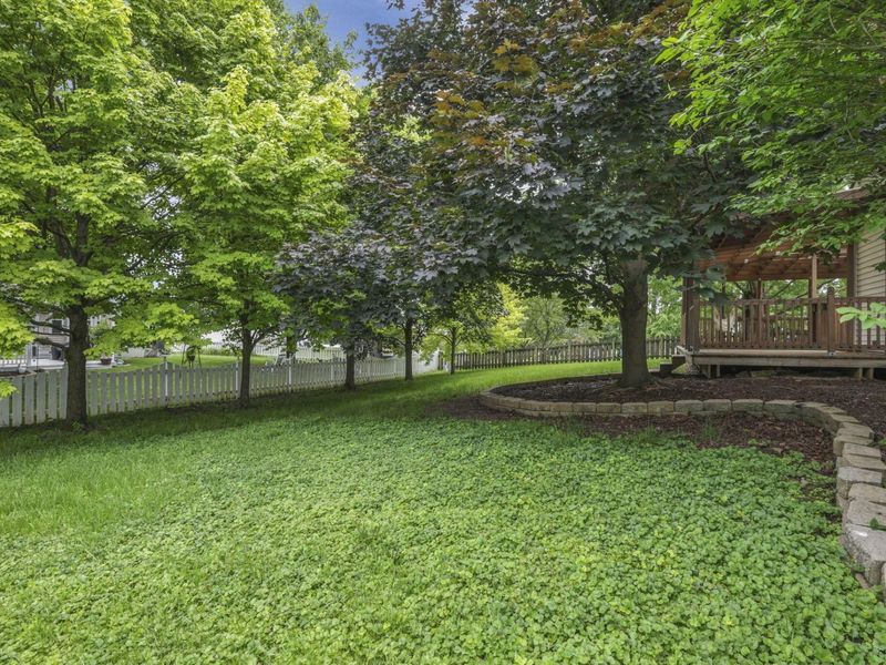 3216 Reed Point Court, Hilliard, OH 43026 Photo 52