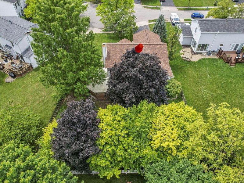3216 Reed Point Court, Hilliard, OH 43026 Photo 60