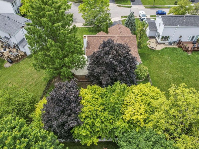 3216 Reed Point Court, Hilliard, OH 43026 Photo 61