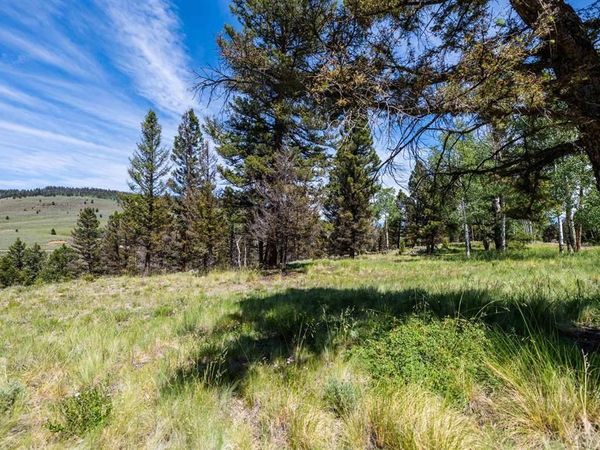 1021 Slumgullion Trail, Powderhorn, CO 81243