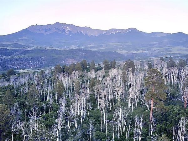 #6 Little Lake Ranch Drive, Placerville, CO 81430