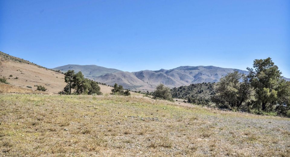 1536 Holbrook Bluffs Court, Topaz Ranch Estates, NV 89444 Photo
