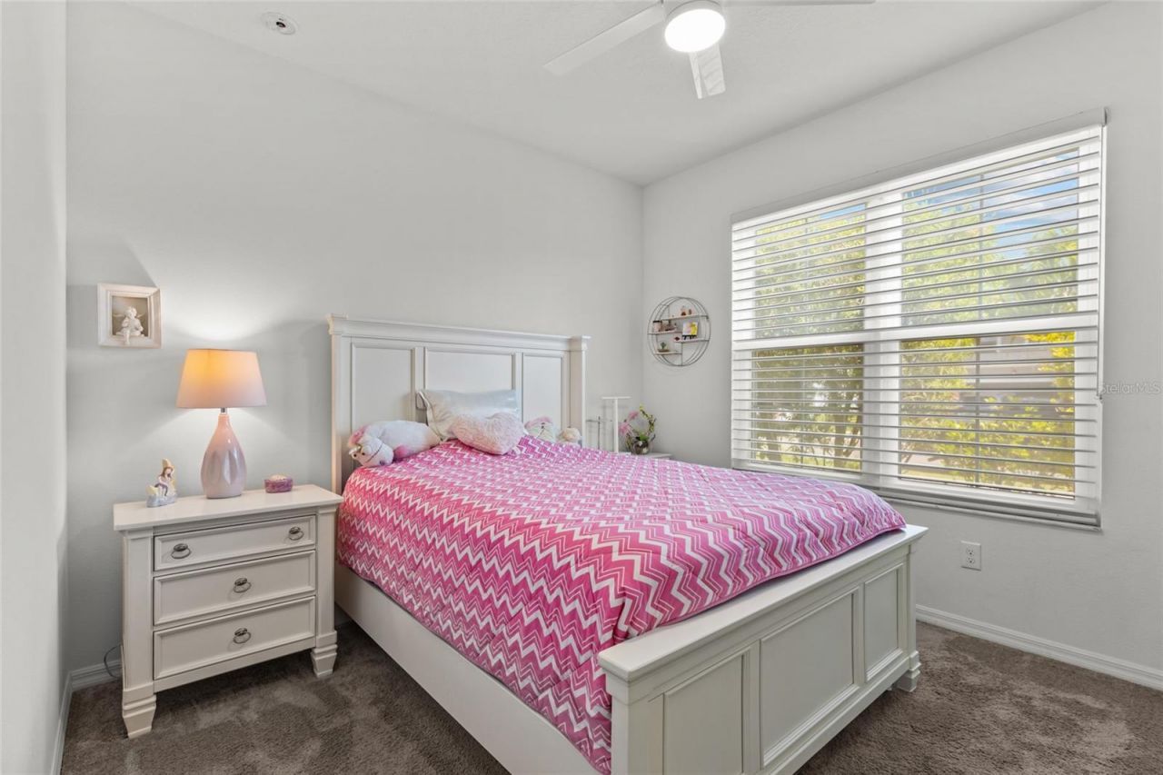 4836 Reisswood Loop, Palmetto, FL 34221 Photo