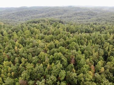 3680 Copper Creek Road, Berea, KY 40403