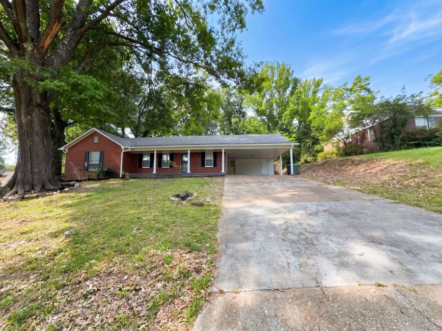 Property Image 42