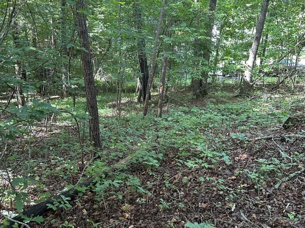 0 View Street, Clarkesville, GA 30523