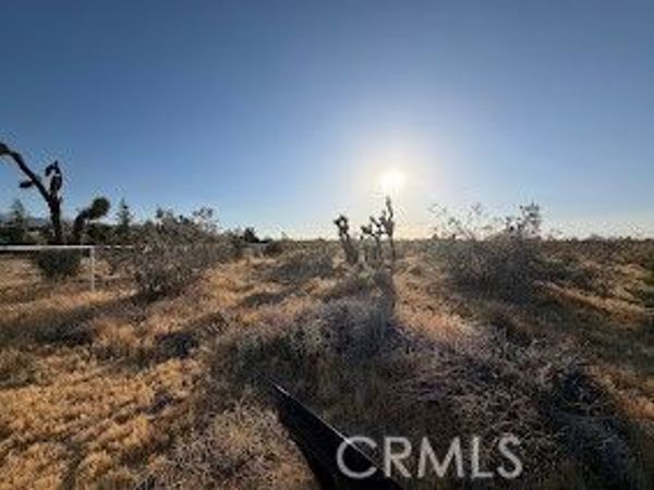 0 Mountain Rd,, Pinon Hills, CA 92372