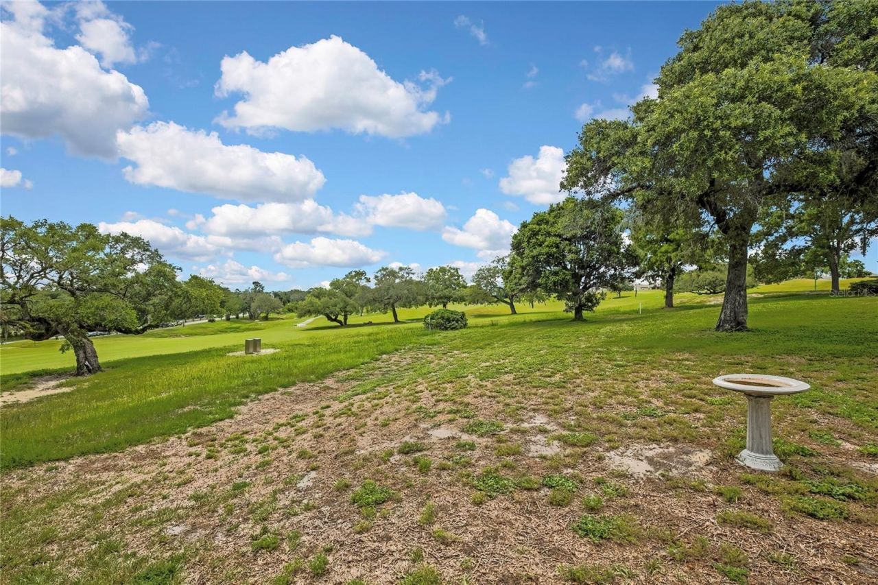 547 W Hillwood Path , Beverly Hills, FL 34465 Photo