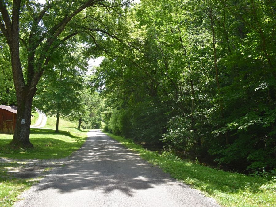 Property Image 10