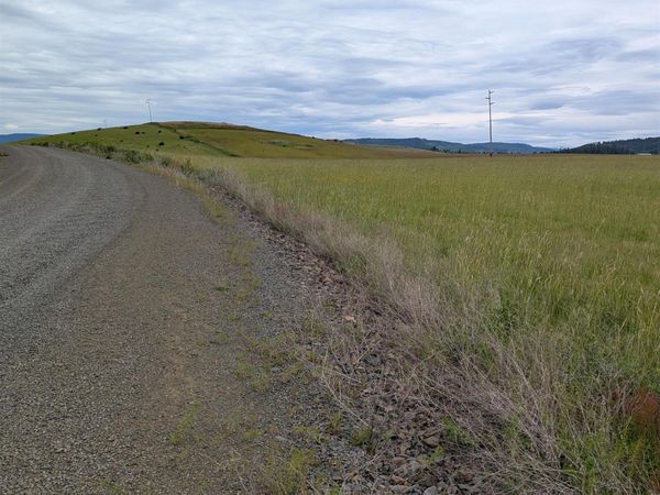 TBD Windrow Lane & Stillwater Road, Grangeville, ID 83539