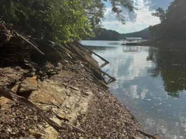 Kahiti Court, Mooresburg, TN 37811