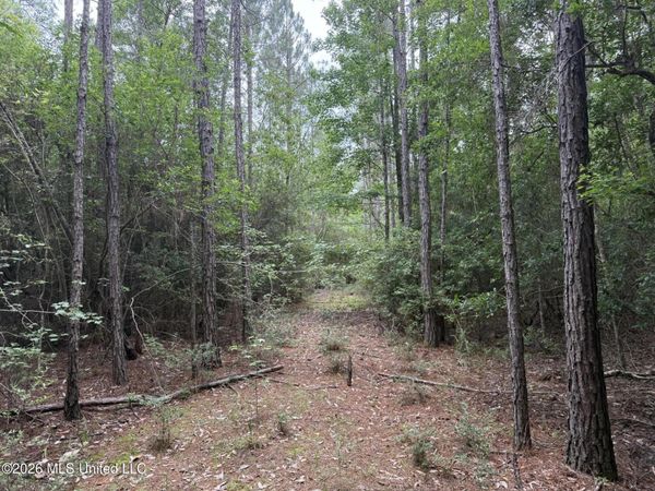 Highway 49 , Saucier, MS 39574