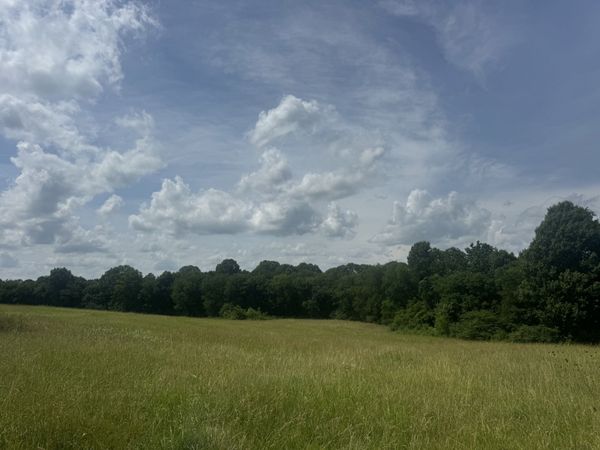 210 Wheel Rd , Unit 1, Shelbyville, TN 37160