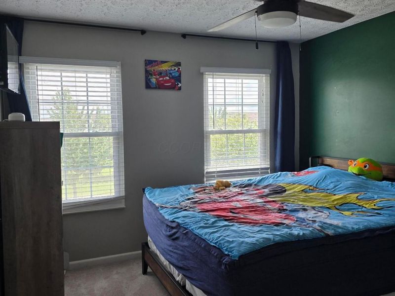246 Weeping Willow Run Drive, Johnstown, OH 43031 Photo 32