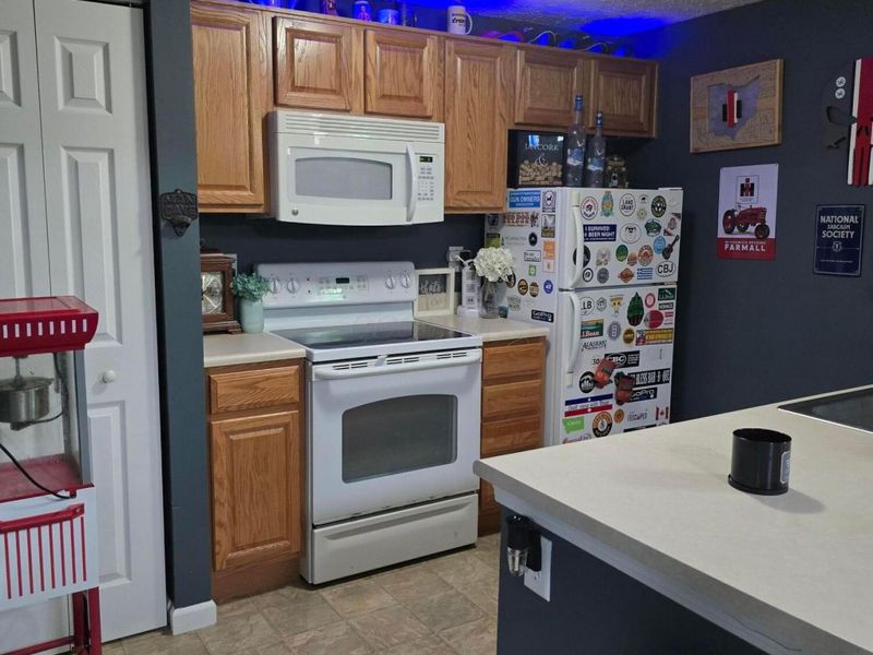 246 Weeping Willow Run Drive, Johnstown, OH 43031 Photo 6