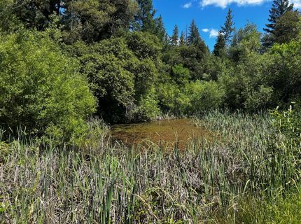 12226 Pine Cone Cir, Grass Valley, CA 95945 Photo