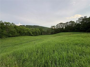 1738 County Highway 34 , Schenevus, NY 12155