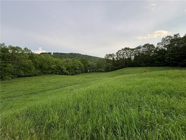 1738 County Highway 34 , Schenevus, NY 12155