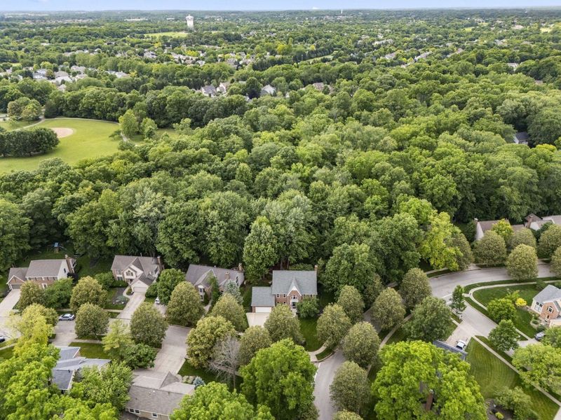 5708 Desmond Court, Dublin, OH 43017 Photo 89