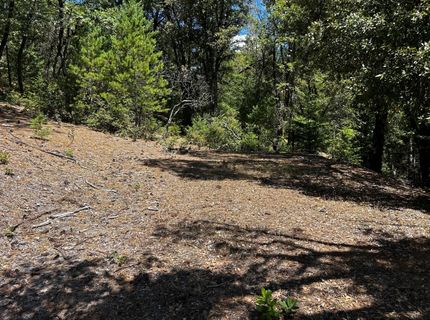 12258 Pine Cone Cir, Grass Valley, CA 95945 Photo