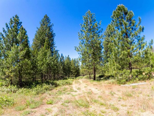 29XXX N Hardesty Rd, Chattaroy, WA 99003