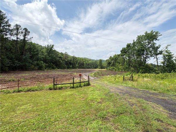 50.65 acres off SR 164 W , Dover, AR 72837