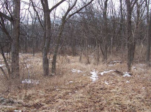 Main Photo