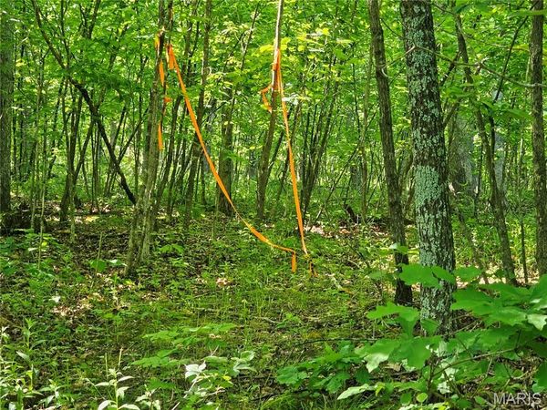 8+/- ac Walker Road , Troy, MO 63379