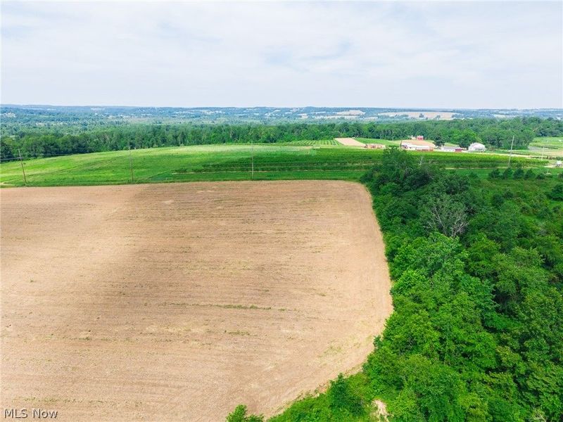 1166 W Moreland Road, Wooster, OH 44691 Photo 34