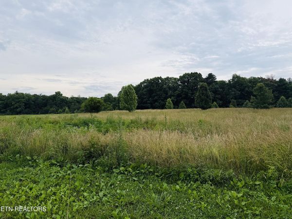 9.8 Acres Tyler Tr, Jamestown, TN 38556