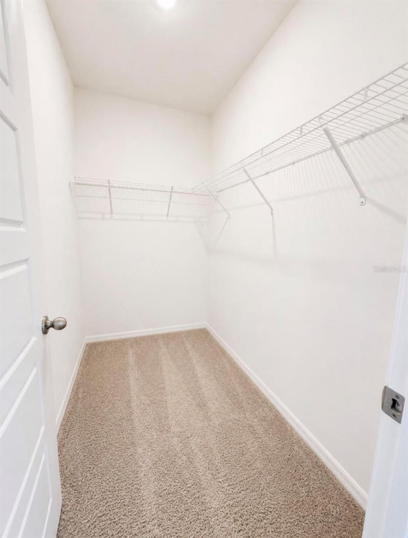 4229 Evernia Rd , Tavares, FL 32778 Photo