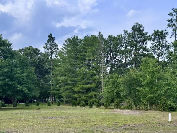 12341 Mallard Creek Drive , Laurinburg, NC 28352