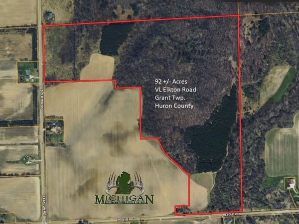 VL Elkton Road, Owendale, MI 48754