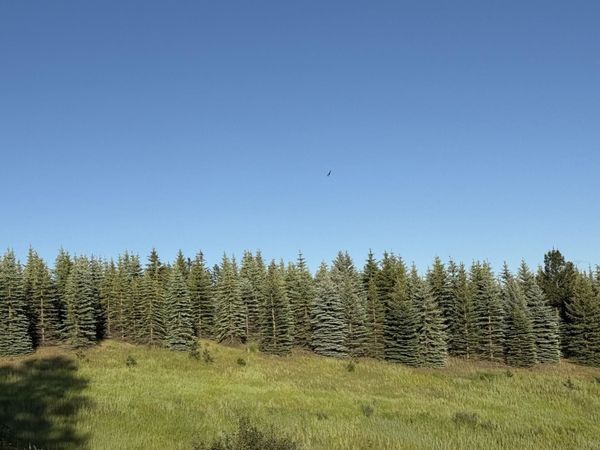 13XXX E Gibbs Rd, Mica, WA 99023