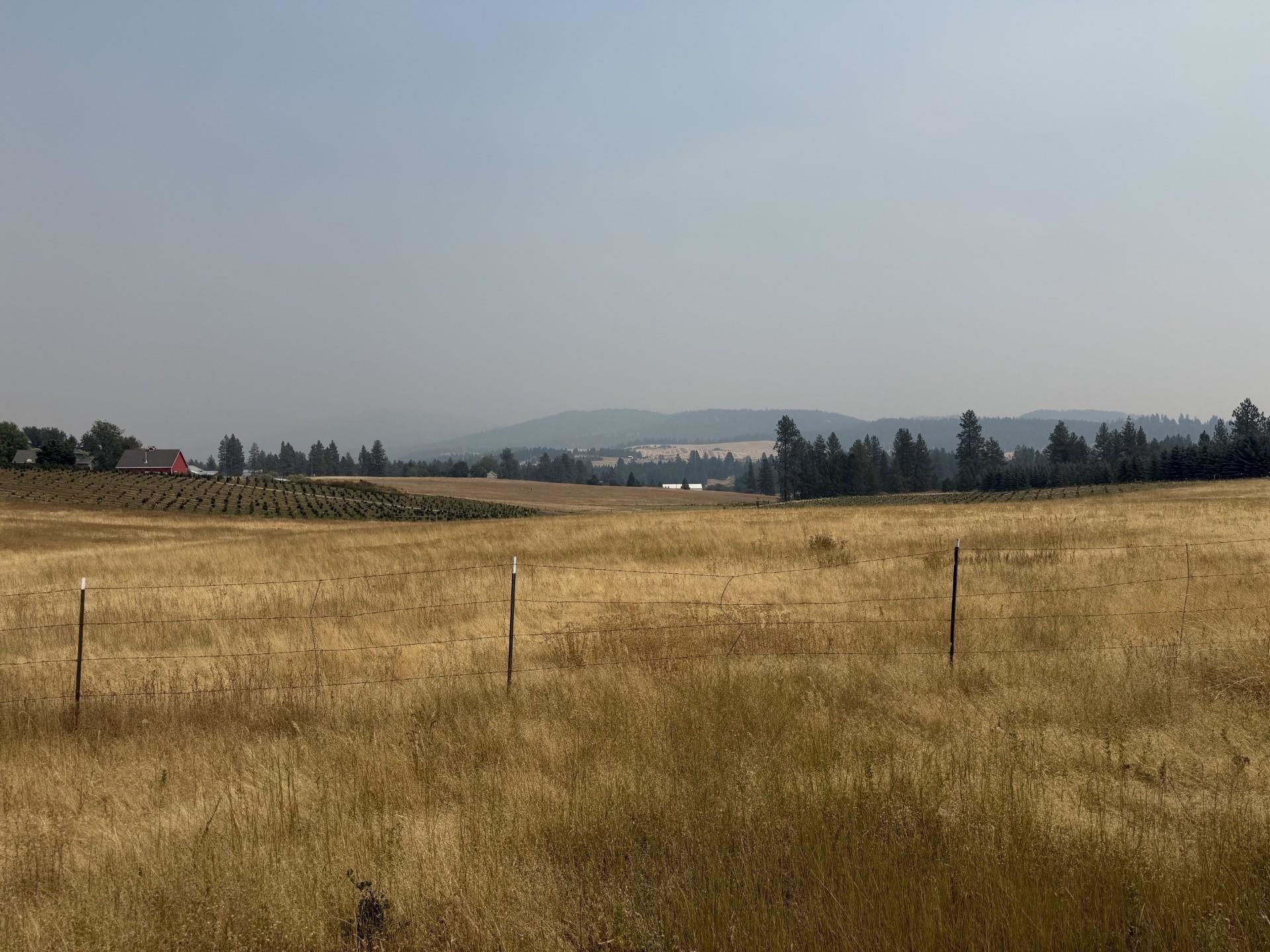 13xxx E Gibbs Rd, Mica, WA 99023 Main Photo