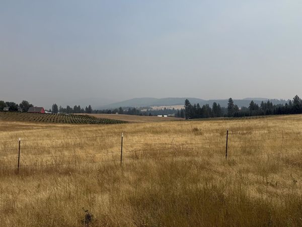 13XXX E Gibbs Rd, Mica, WA 99023
