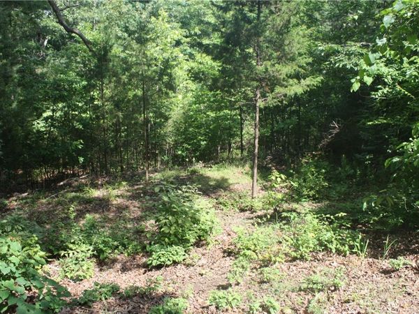 5, 6 & 7 Westmoreland Drive, Bull Shoals, AR 72619