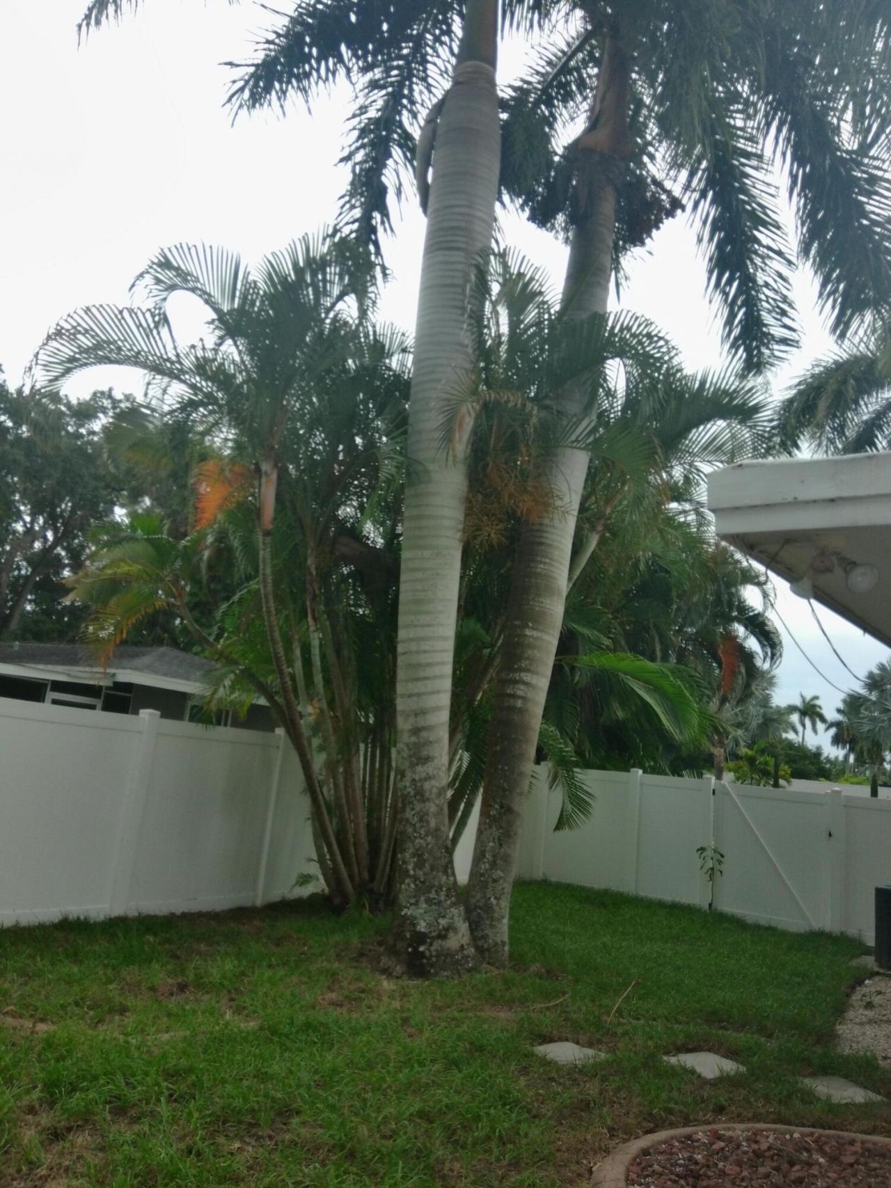 1443 Ricardo Avenue, Fort Myers, FL 33901 Photo