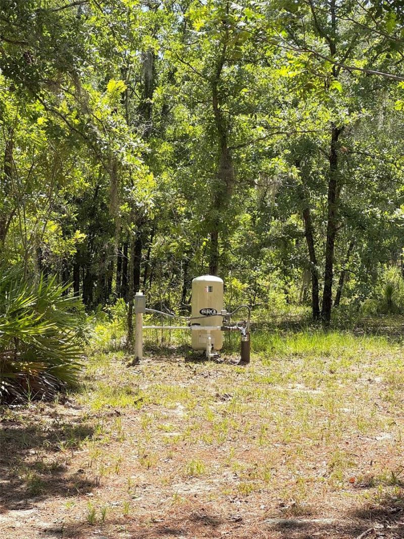 5331 SE 122 Avenue , Morriston, FL 32668 Photo